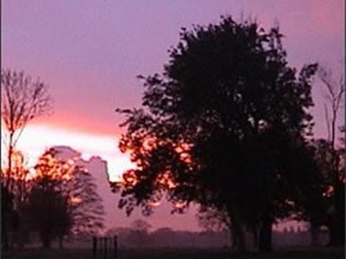 The Stables At Henham Park Bed & Breakfast Southwold Exterior photo